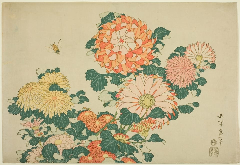 Chrysanthemum and Horsefly by Katsushika Hokusai, colour woodblock print